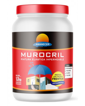 Pintura Impermeable Frentes...
